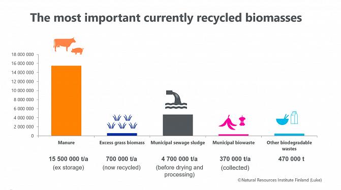 A chart illustrating the amounts of different biomasses