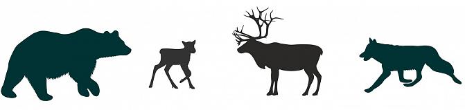 Suurporo bannerikuva