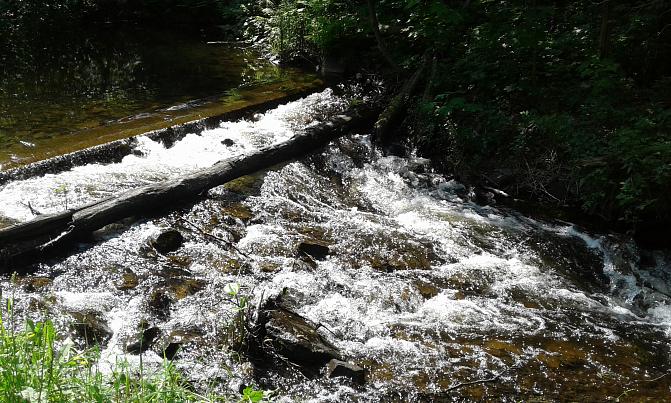 Vesi virtaa koskessa