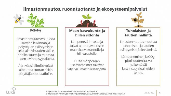 Ilmastomuutos voi heikentää pölytyksen onnistumista ja maan kasvukunto voi heikentyä. Ilmastonmuutos voi myös lisätä tuholaisia ja tauteja. 