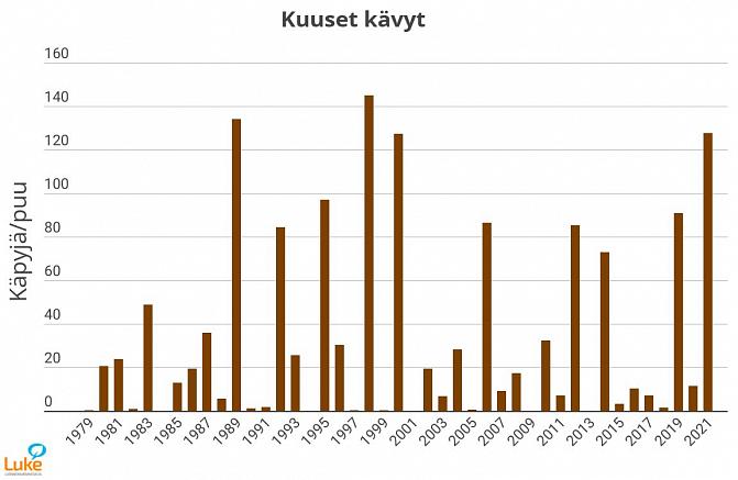 Graafissa esitetty keskimääräinen puukohtainen kukintavuoden käpymäärä siemensadon tarkkailumetsiköissä Etelä-Suomessa vuosina 1979–2021.