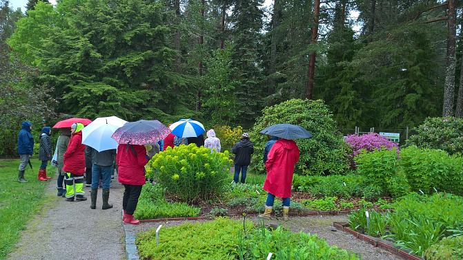 Vierailijoita tutustumassa puutarhaan