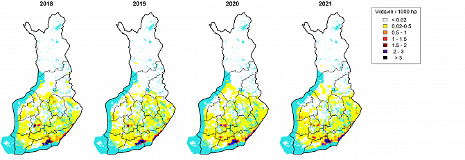 Vildsvinens utbredning och antal 2018-2021