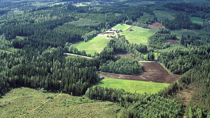 Flygfoto över skog och fält
