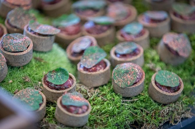 Ruoka-annoksia sammalpedillä.