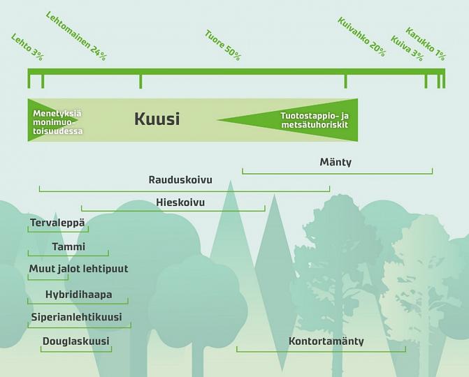 Kaavakuva, joka osoittaa, minkälaisilla kasvupaikoilla mikäkin puulaji viihtyy. Lehtipuut vaativat rehevät kasvupaikat, mutta koivu ja hieskoivu selviävät muita karummissa olosuhteissa. Kuusi menestyy rehevämmillä kasvupaikoilla kuin mänty, joka kasvaa jopa kuivissa olosuhteissa.