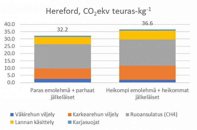 Herefordilla parhaat emot ja parhaat jälkeläiset tuottivat 12 prosenttia pienemmät KHK-päästöt verrattuna heikompien emojen ja jälkeläisten tuottaman lihan KHK-päästöön. Huomattavin päästövähennys saatiin rehujen tuotannosta ja ruoansulatuksesta.