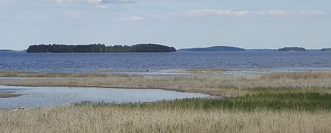 Operandum -hanke - artikkelikuva