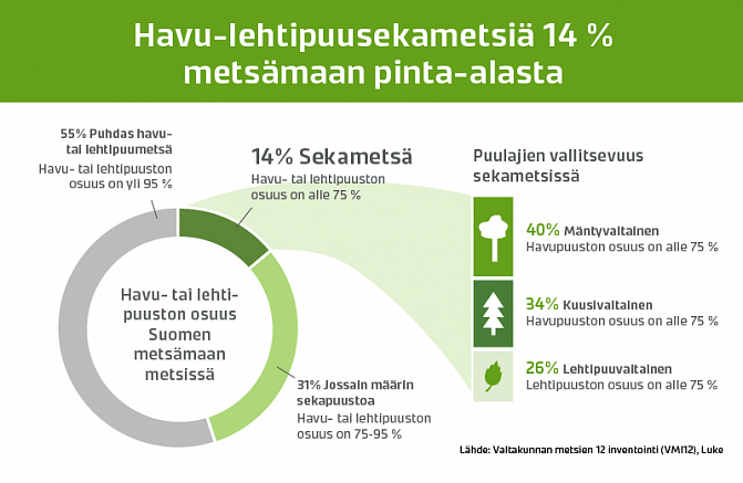 Havu- ja lehtipuusekametsiä on 14 % metsämaan pinta-alasta.