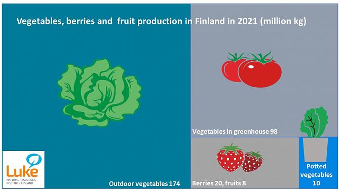Vegetables, berries and fruit production in Finland in 2021: Vegetables in greenhouse 98 million kg, outdoor vegetables 174 million kg, berries 20 million kg, fruits 8 million kg and potted vegetables 10 million kg.