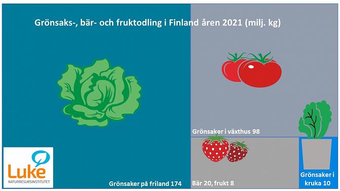 Grönsaks-, bär- och fruktodling i Finland åren 2021: Grönsaker i växthus 98 milj. kg, Grönsaker på friland 174 milj. kg, bär 20 milj. kg, frukt 8 milj. kg. och grönsaker i kruka 10 milj. kg.