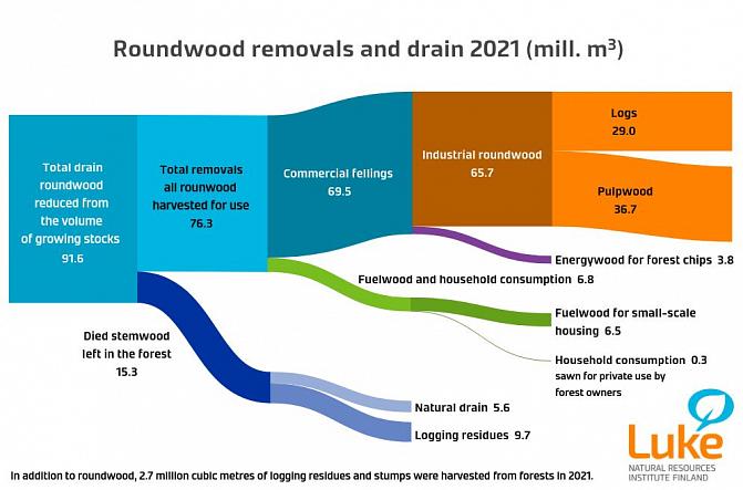 The graph includes recorded volumes of the total roundwood removals and drain. The numerical values are given in the text above and are available in the statistical database.
