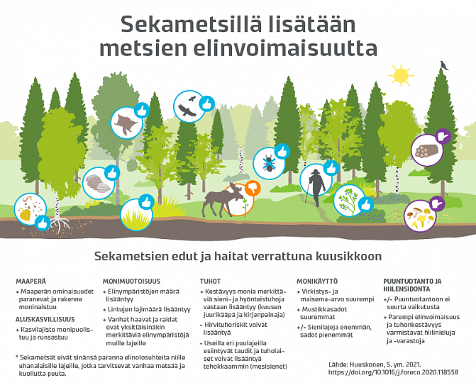 Sekametsien hyödyt ja haitat