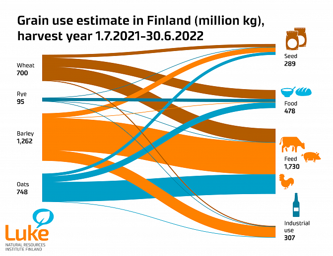 Infograph about the grain use estimate in Finland in 2022. The data used in the image can be found in accessible form in a chart, which is linked on this page.