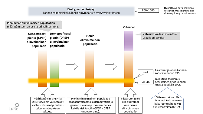 Susikannan suotuisan suojelutason viitearvojen määrittämisen tärkeä lähtökohta on pienin elinvoimainen populaatio.