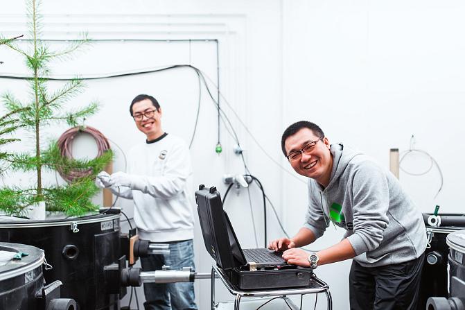 Kaksi tutkijaa mittaa laboratoriossa kuusen taimen toimintaa.