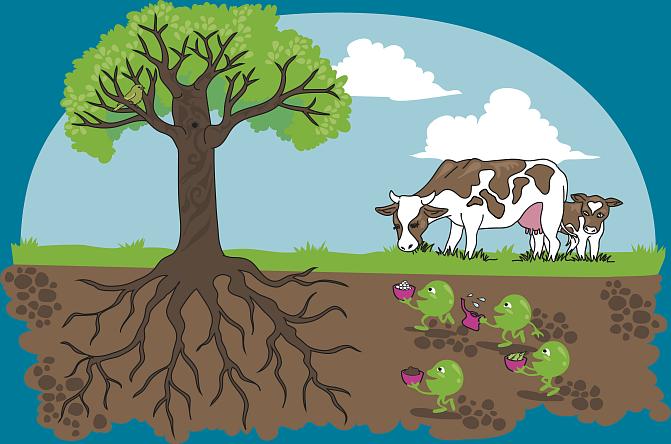 Piirroksessa mikrobeja, puita ja lehmiä