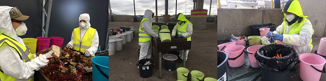 Kuvissa lajitellaan elintarvikejätettä. Työtä tehdään ensin lajittelupöydillä, jossa elintarvikejätteestä lajitellaan erikseen ruokahävikki. Työtä jatketaan lajittelemalla ruokahävikki eri ruokatyyppeihin (esim. vihannekset, leipä tai peruna). Viimeisessä kuvassa arvioidaan pakkausastetta: pakkaukset poistetaan ja punnitaan.