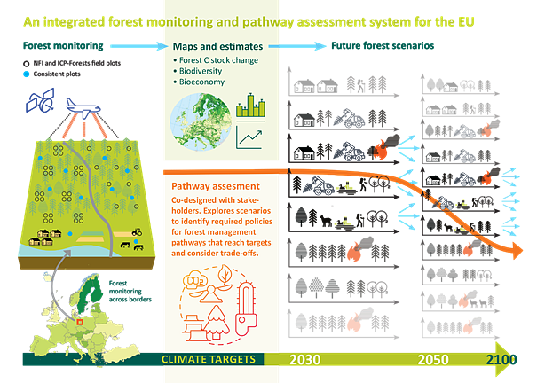 PathFinder-hankkeen infograafi.