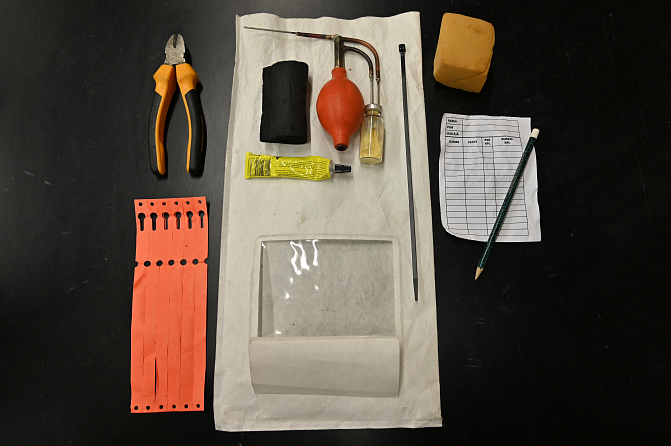 Risteyttäjän työvälineitä: siitepölyruisku, jossa siitepölypullo, ikkunallinen eristyspussi, liima-tuubi, solmusäleitä merkintää varten, muistiinpanovälineet ym.