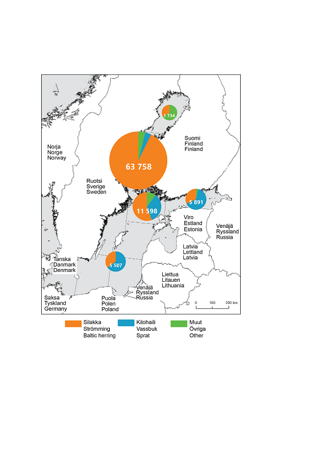 Fångst av kustarterna i havsområdets kommersiellt fiske