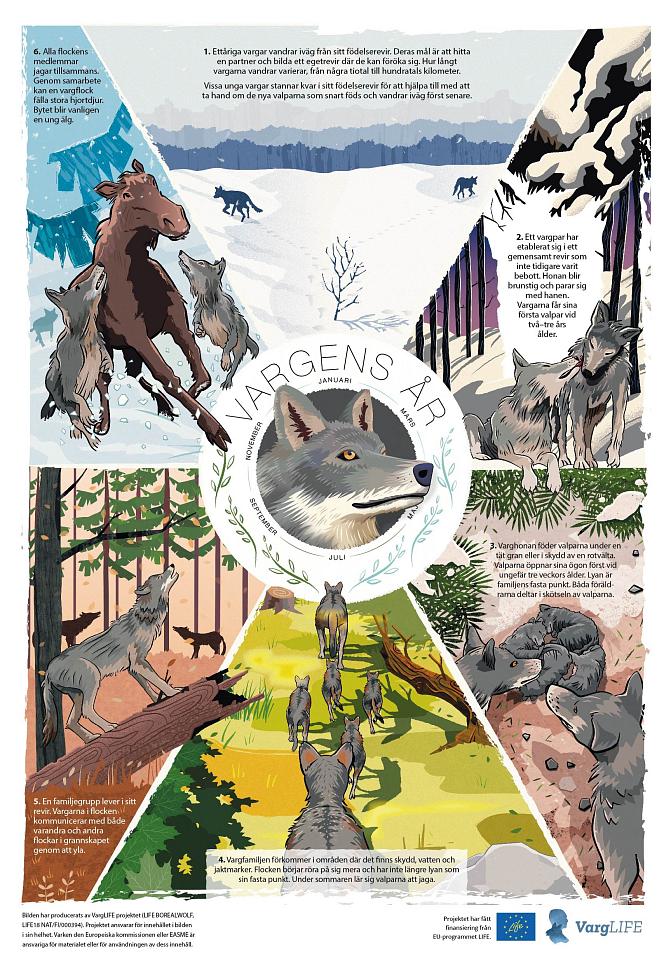 Vargens år affischer