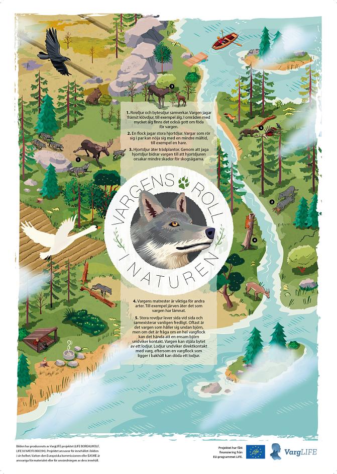 Vargens roll i naturen affischer