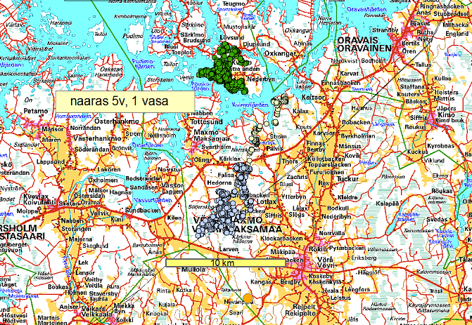 Esimerkkikarttakuva hirvien liikkeistä - viisivuotias naaras ja sen vasa Rannikko-Pohjanmaalla