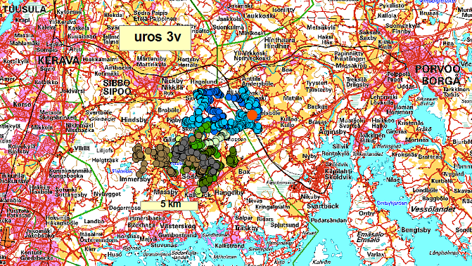 Esimerkkikuva hirvien liikkeistä - kolmevuotias uros Uudellamaalla
