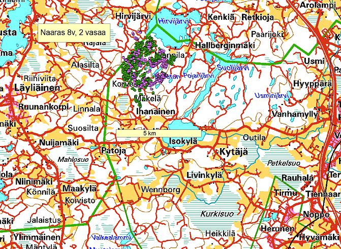 Esimerkkikuva hirvien liikkeistä - Kahdeksanvuotias naaras ja kaksosvasat Uudellamaalla
