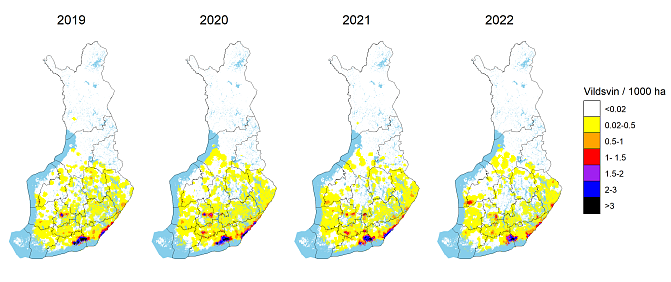 Kartorna visar hur många vildsvin det finns. Regionalt sett finns det flest vildsvin i sydöstra Finland och östra Nyland.
