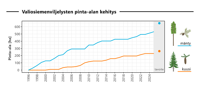 Viivadiagrammi, jossa valiosiemenviljelysten pinta-alan kehitys vuodesta 1996 vuoteen 2024. Tavoite ja toteuma, viivat erikseen männylle ja kuuselle.
