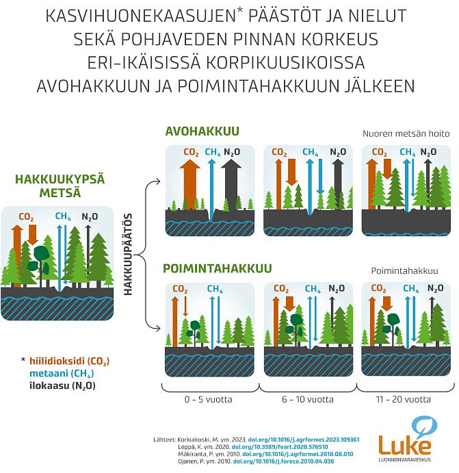 Infograafi, joka kuvaa kasvihuonekaasujen päästöt ja nielut sekä pohjaveden pinnan korkeuden eri-ikäisissä korpikuusikoissa avohakkuuun ja poimintahakkuuun jälkeen. 