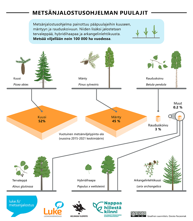[15.18] Viherä-Aarnio Anneli (LUKE) Metsänjalostusohjelman puulajit. Kuusi, mänty, rauduskoivu, tervaleppä, hybridihaapa ja arkangelinlehtikuusi ja niiden suhteelliset osuudet vuotuisesta metsänviljelypinta-alasta.