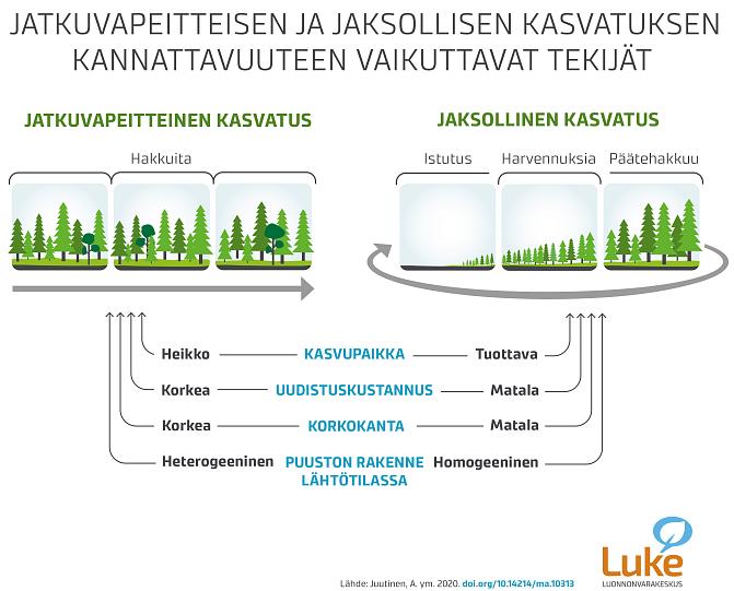 Infograafi, joka esittelee jatkuvapeitteisen ja jaksollisen kasvatuksen kannattavuuteen vaikuttavia tekijöitä. 