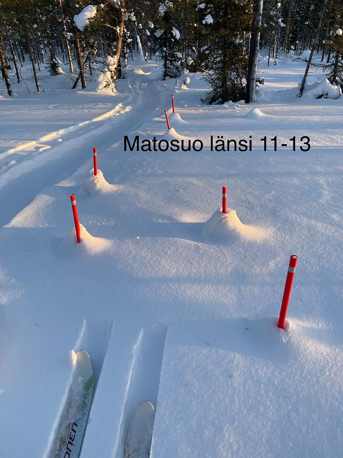 talvinen maisema suolla Lapissa