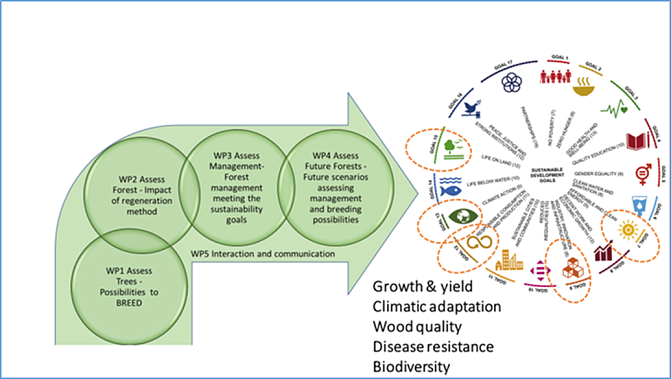 ASSESS4EST-kuva WP-osista