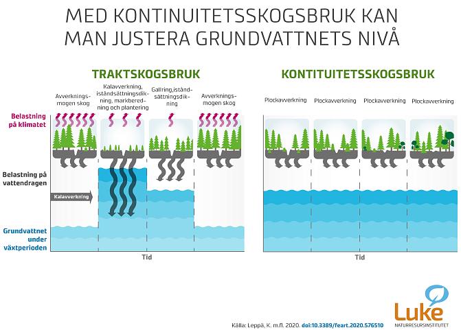 Infografik som visar hur ett kontinuerligt skogstäcke styr grundvattnets djup.