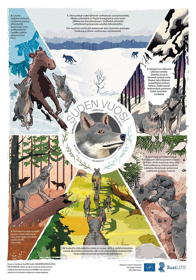 Juliste suden vuodesta