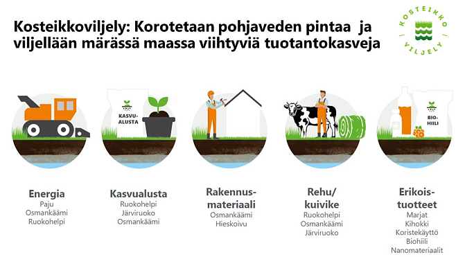Kosteikkoviljely - kasveja eri käyttötarkoituksiin
