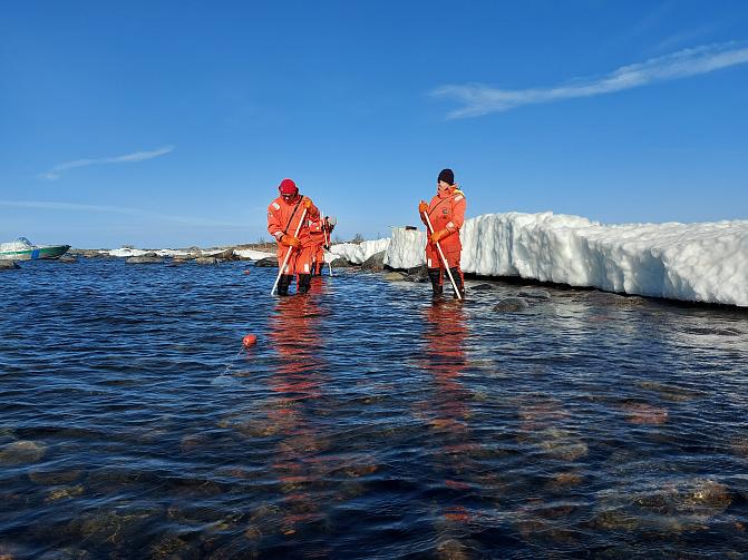 Kuvassa kaksi ihmistä vedessä harjaamassa kutupaikkoja