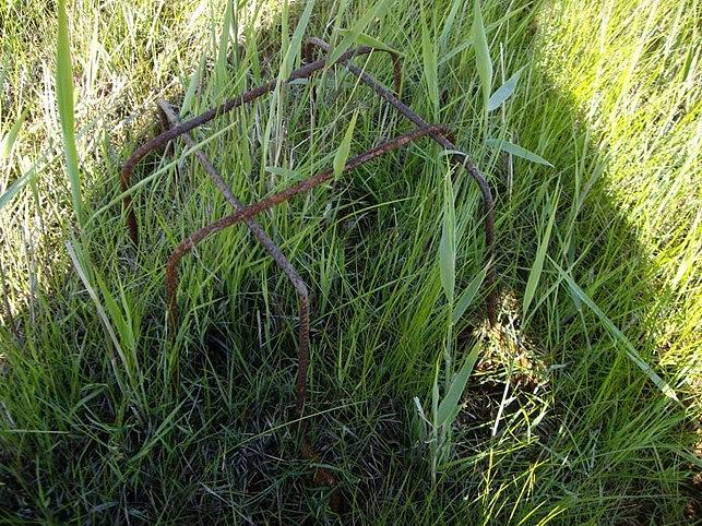 Kuvassa on suosirrin pesäsuoja. 