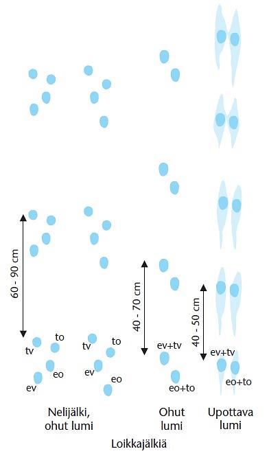 Kuvassa on piirrettynä minkin jäljet