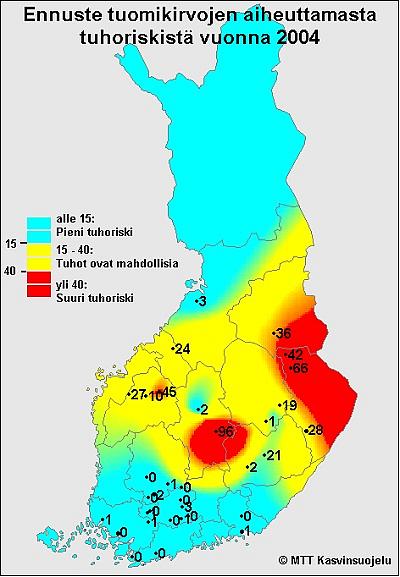 Tuomikirvaennuste 2004