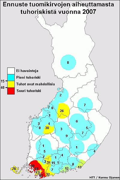 Tuomikirvaennuste 2007