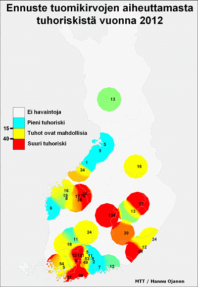 Tuomikirvaennuste 2012