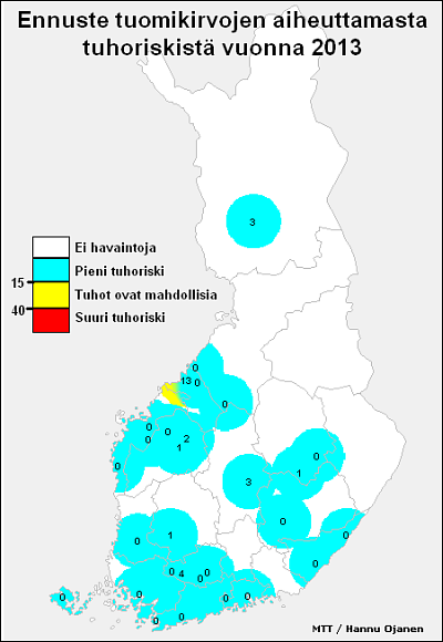 Tuomikirvaennuste 2013