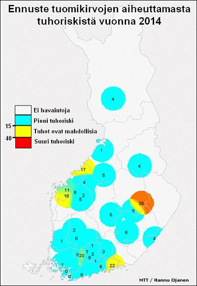 Tuomikirvaennuste 2014