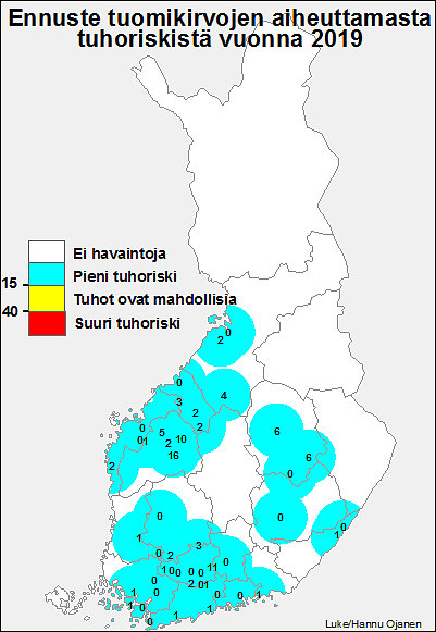Tuomikirvaennuste 2019