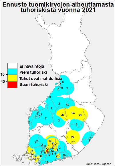 Tuomikirvaennuste 2021